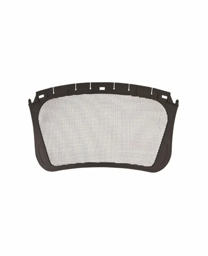 ECRAN VIZIERA PLASA CASCA G3000