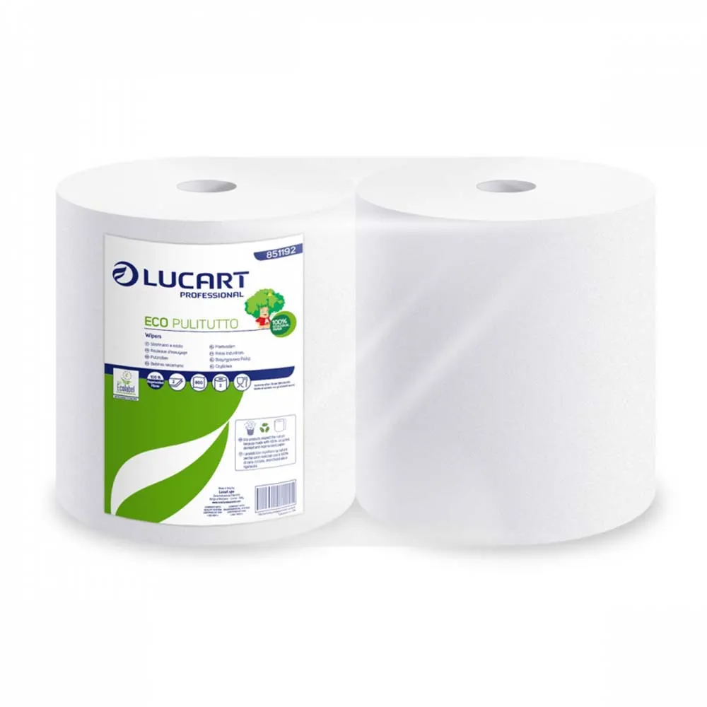 Lavete industriale economice Eco Pulitutto Lucart, art.F279 (851192) - imagine 1